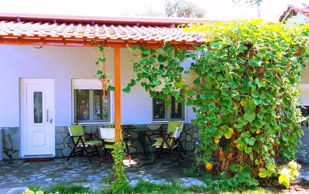 Cristi Apartments Szkála Rahoníu Kültér fotó